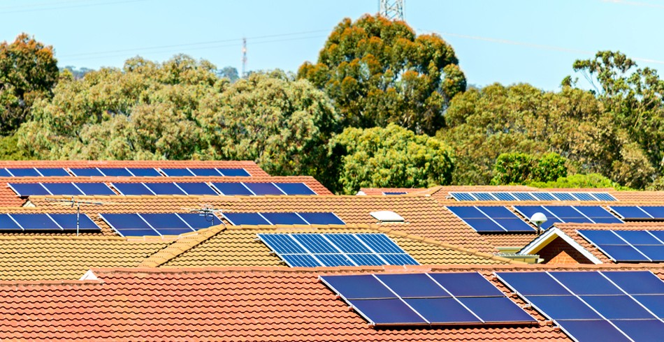 Rooftops with solar panels with trees in background (households)