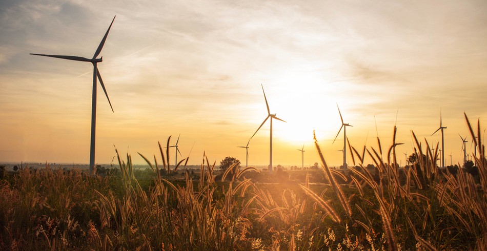 Wind farm turbines at sunset with long grass in foreground (yanco delta)