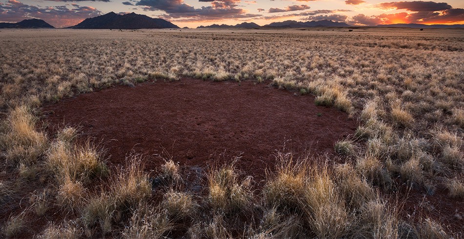 Fairy circle in the desert, which are a sign that naturally occurring hydrogen may be present