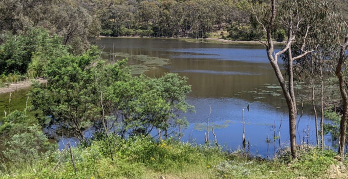 Photo of the calm waters of Lake Lyell near Lithgow in NSW, with bush and trees surrounding the lake