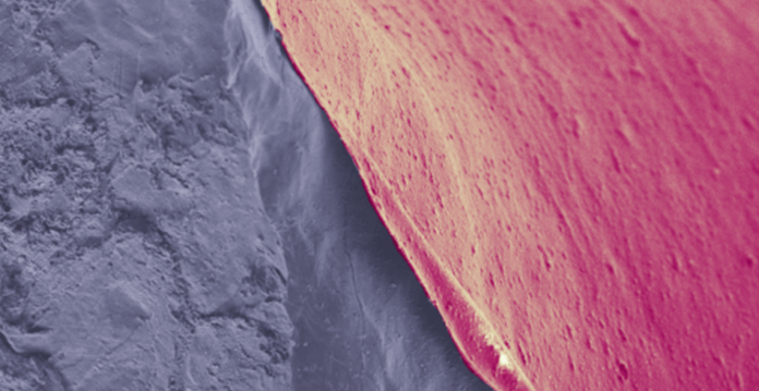 SEM image of nanoporous polymer-coating on lithium