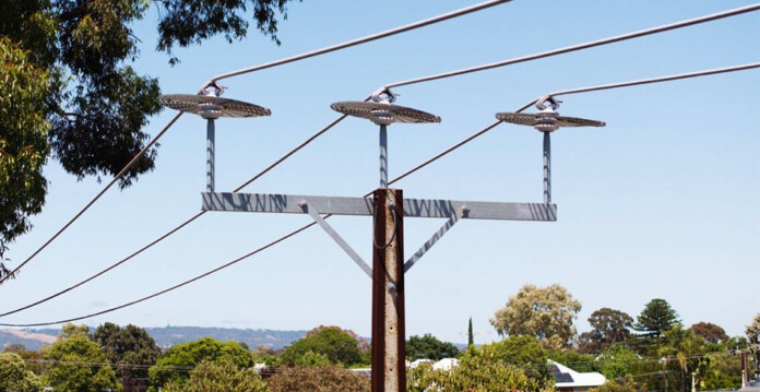 Power pole with three flat disc-shaped animal guards installed to protect against bat outages